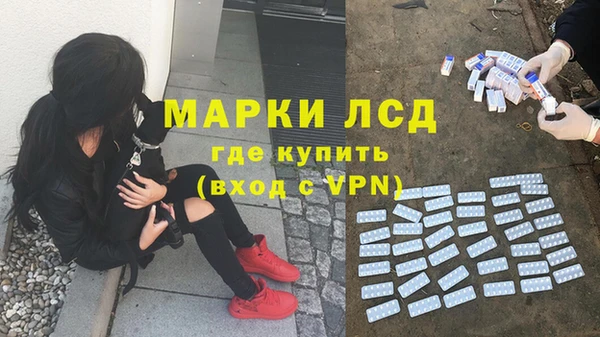 ешки Арсеньев