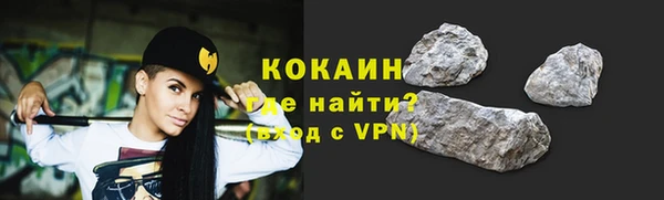 тгк Почеп