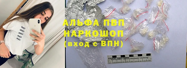 ешки Арсеньев