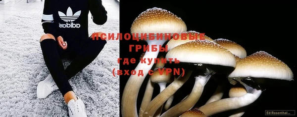ешки Арсеньев