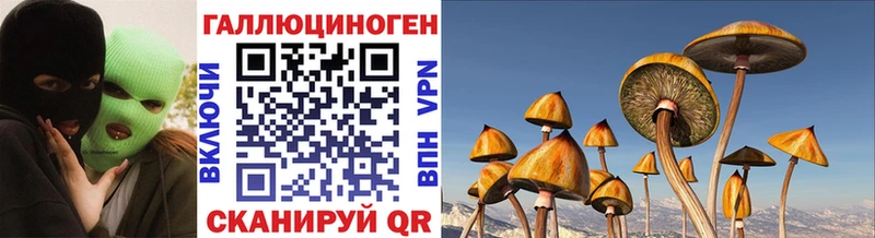 Галлюциногенные грибы Psilocybine cubensis  мега tor  Черноголовка  где продают наркотики 